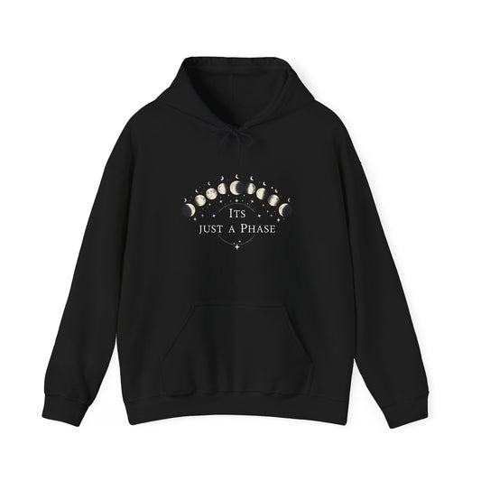 Just a Phase Adult Hoodie