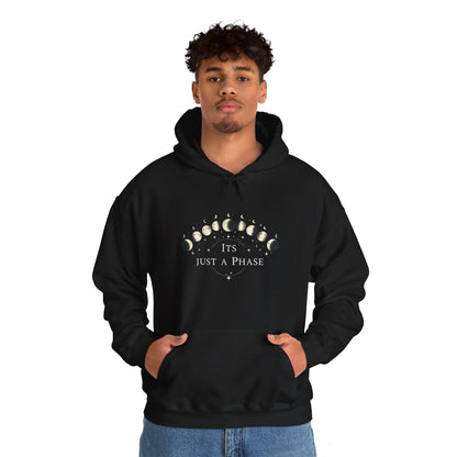 Just a Phase Adult Hoodie